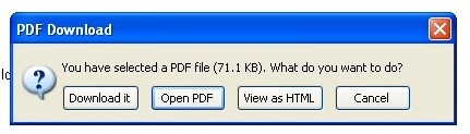 Download PDF in Firefox