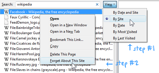 clean history in firefox