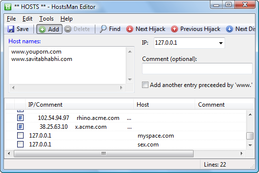 hosts file