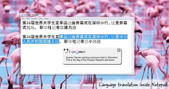 google language translation