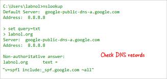Check DNS Records