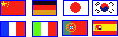 google language flags