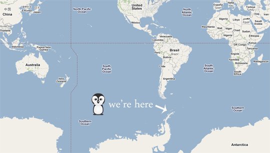 penguins on google maps