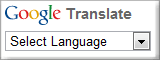 google translate gadget