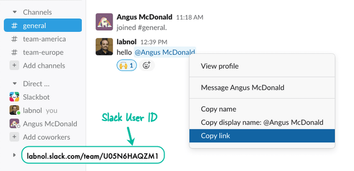 Find Slack User ID